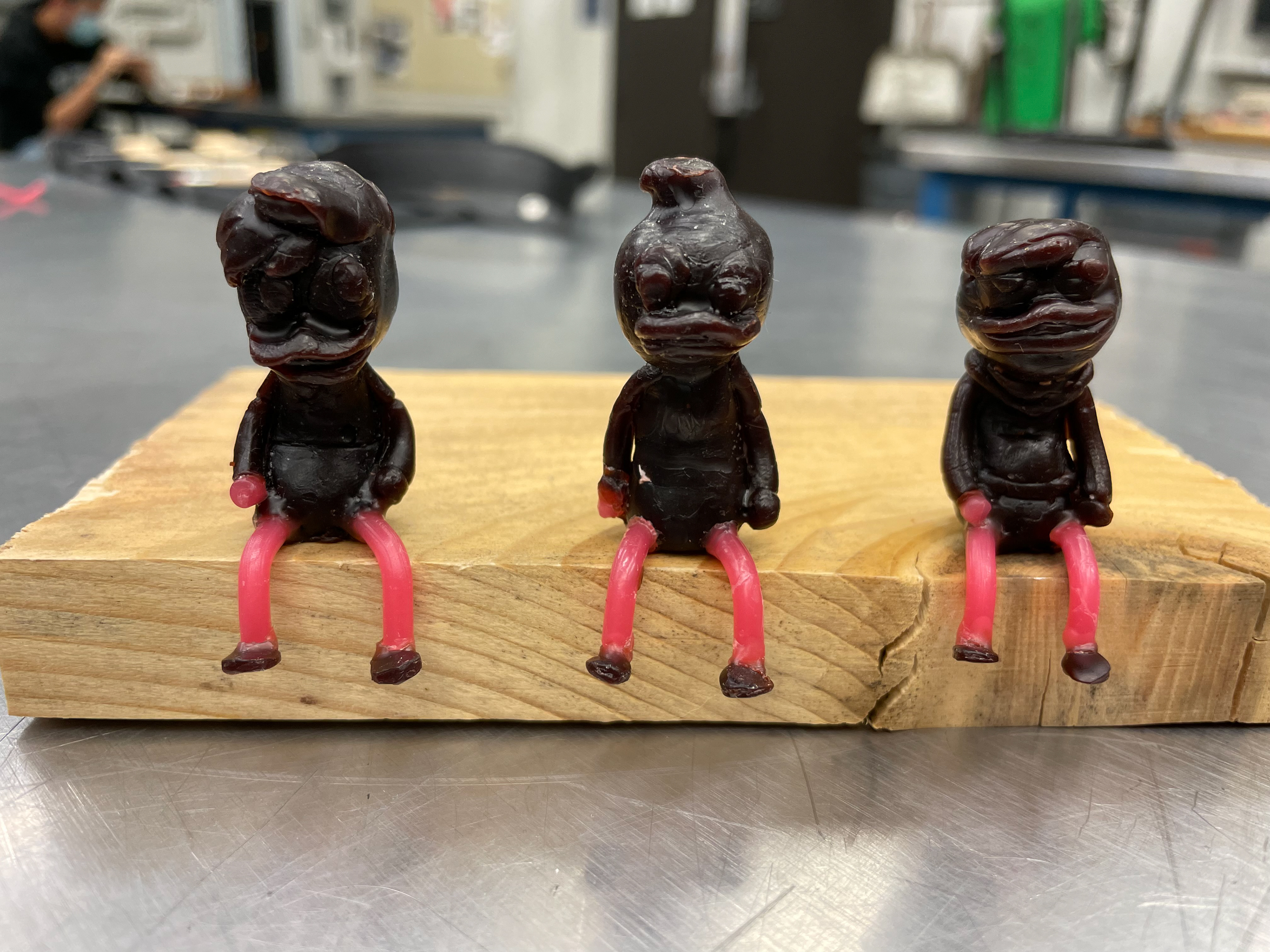 Wax Models