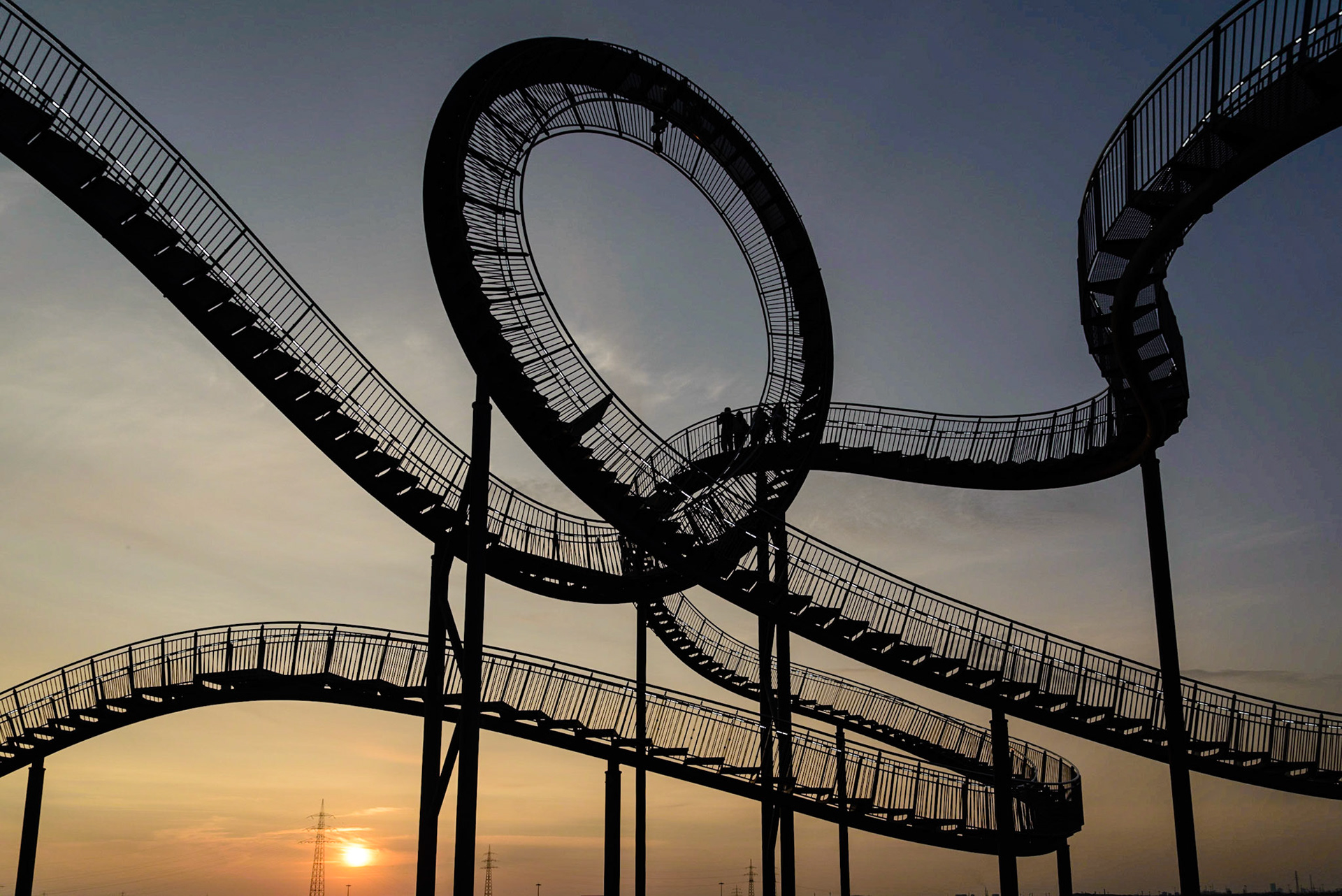Tiger and Turtle
