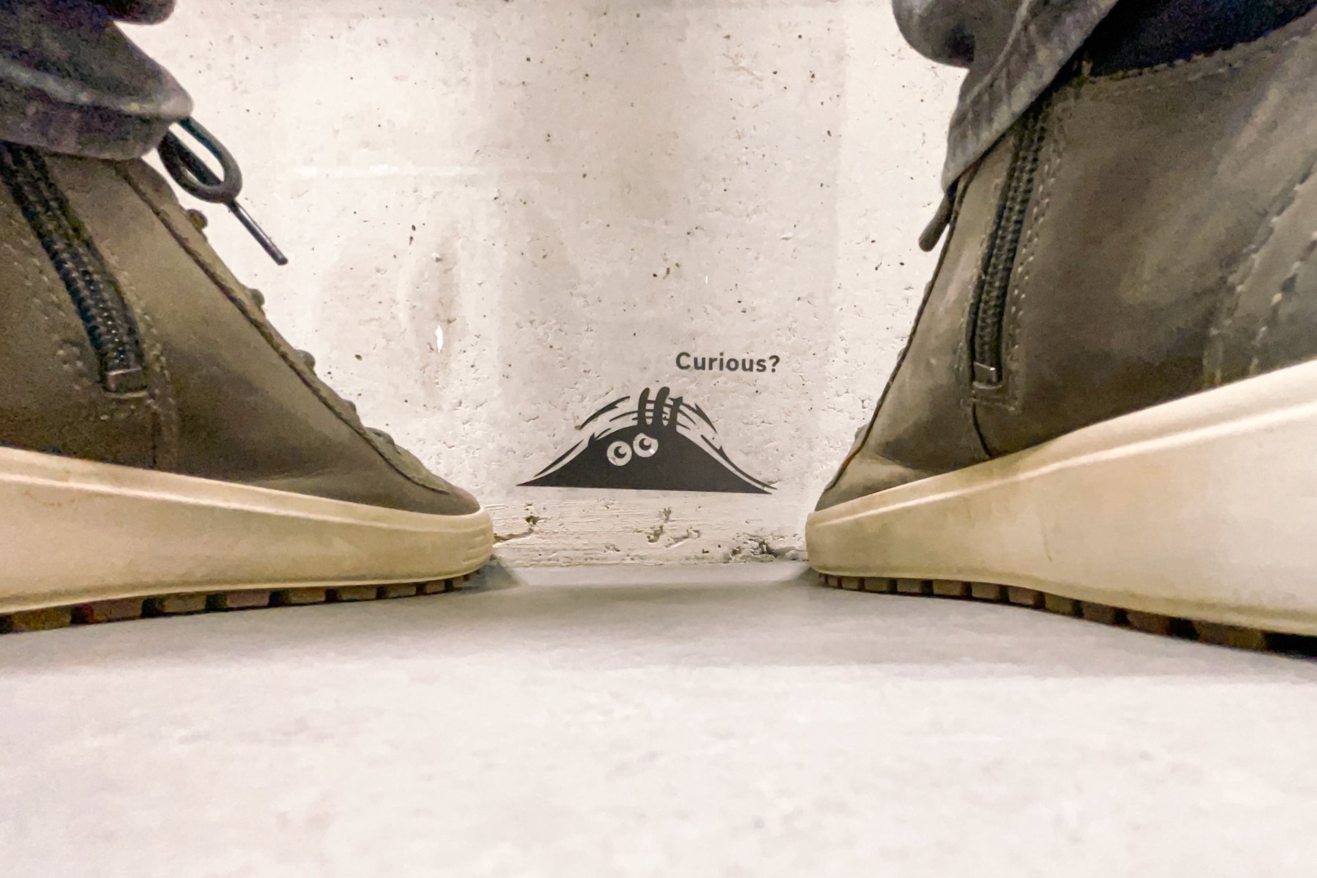 41/2022 - Shoot Through Something