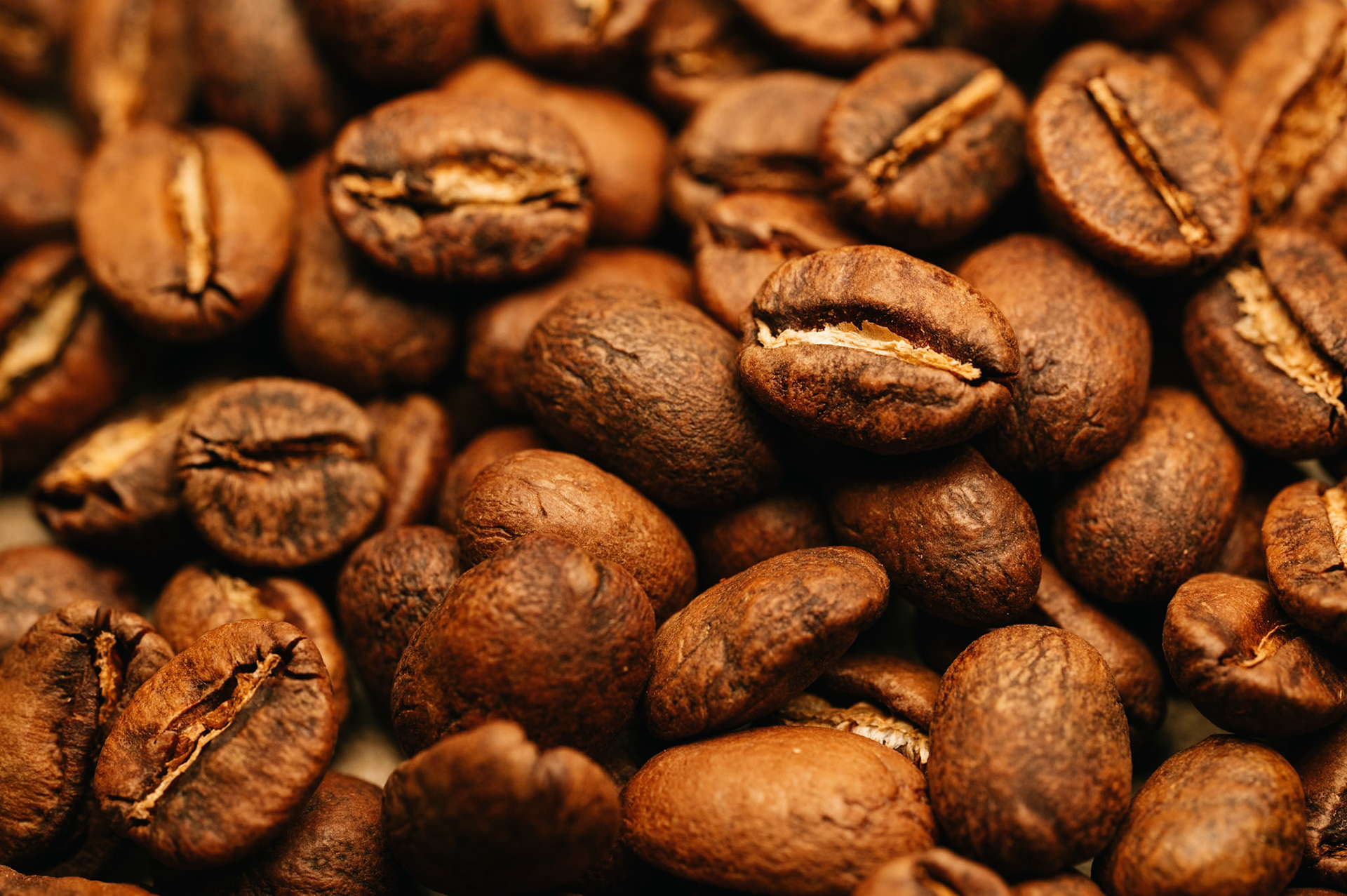 45/2024 - Fill The Frame