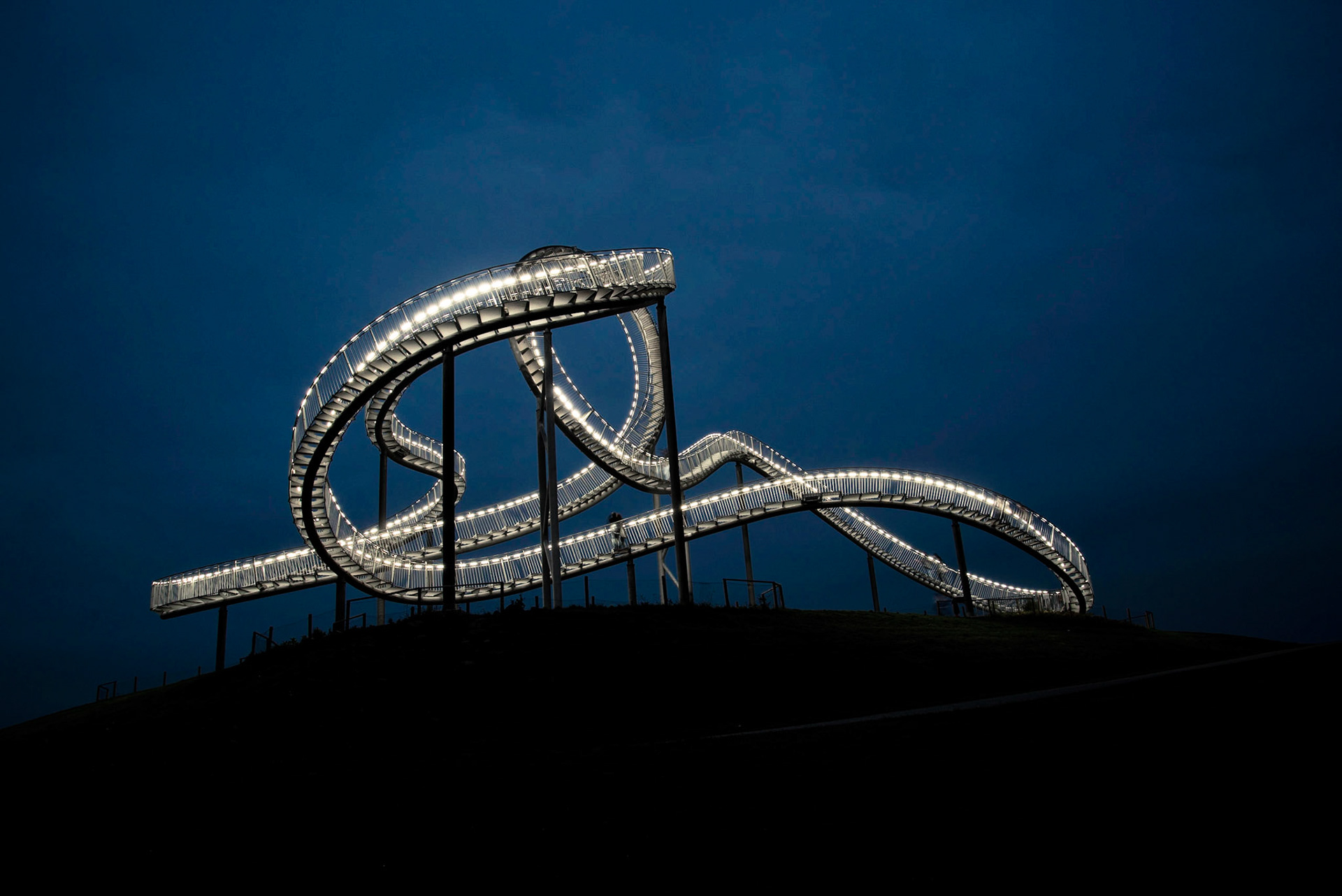 Tiger and Turtle
