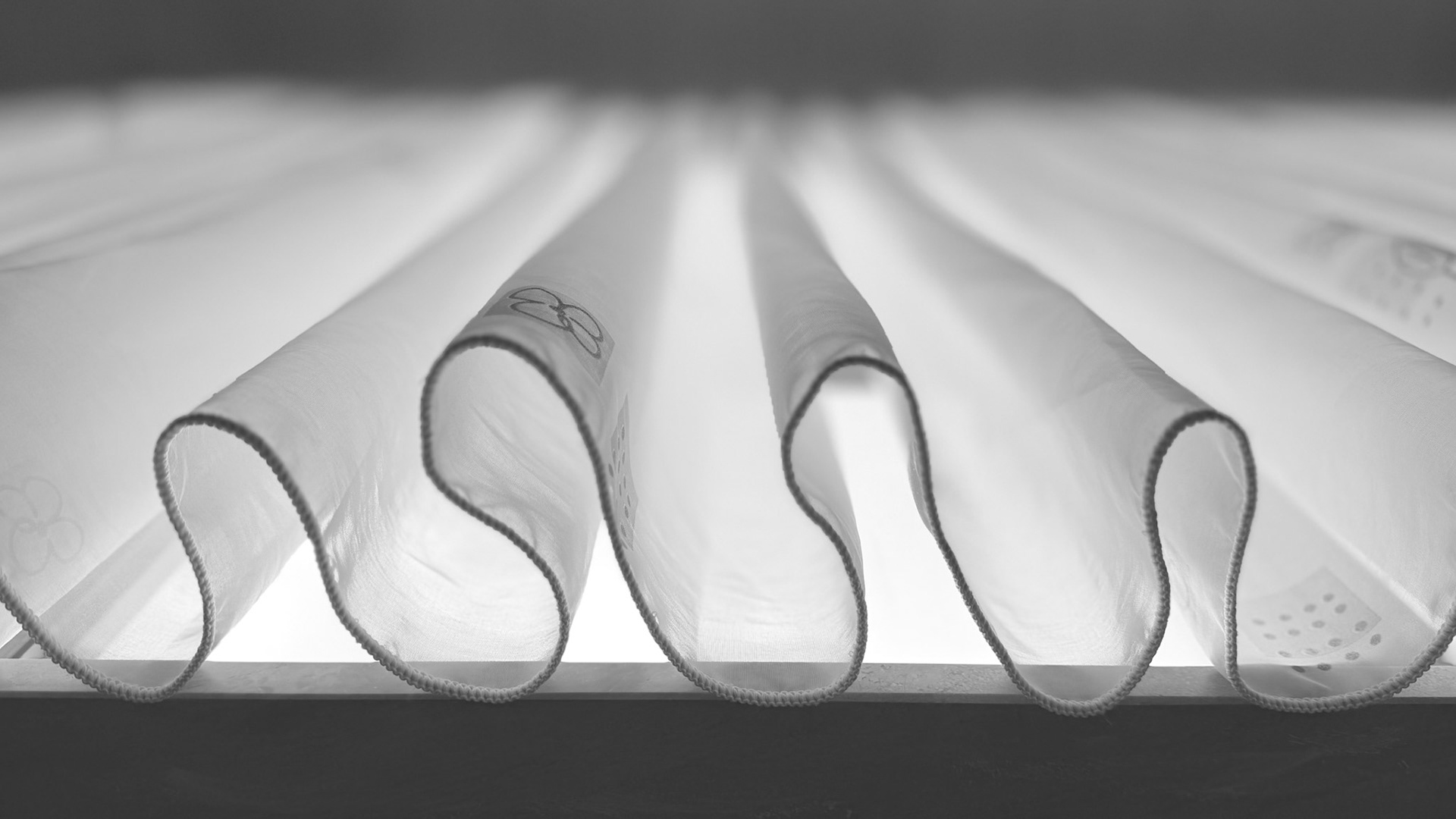 09/2026 - Window Light