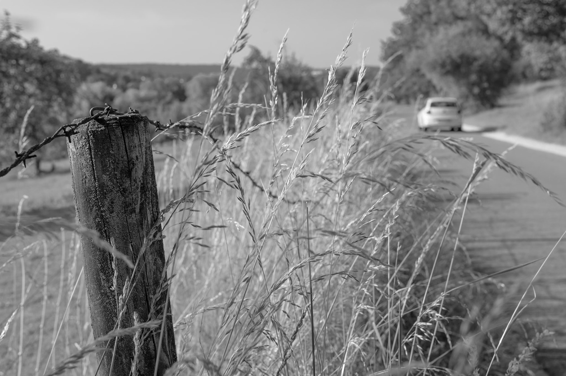 24/2025 - Street Details