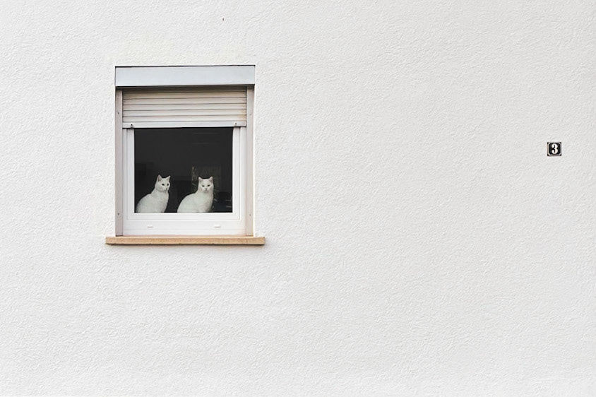 43/2021 - Walls