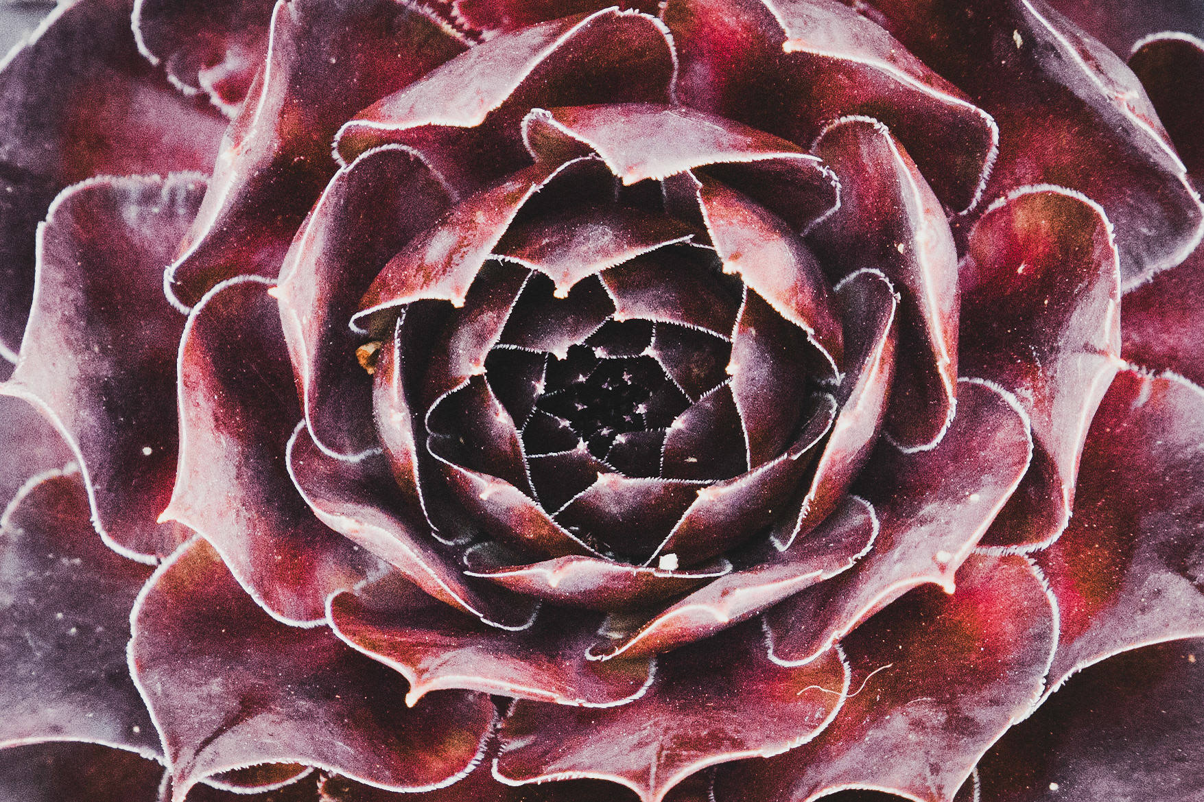 14/2023 - Fill The Frame