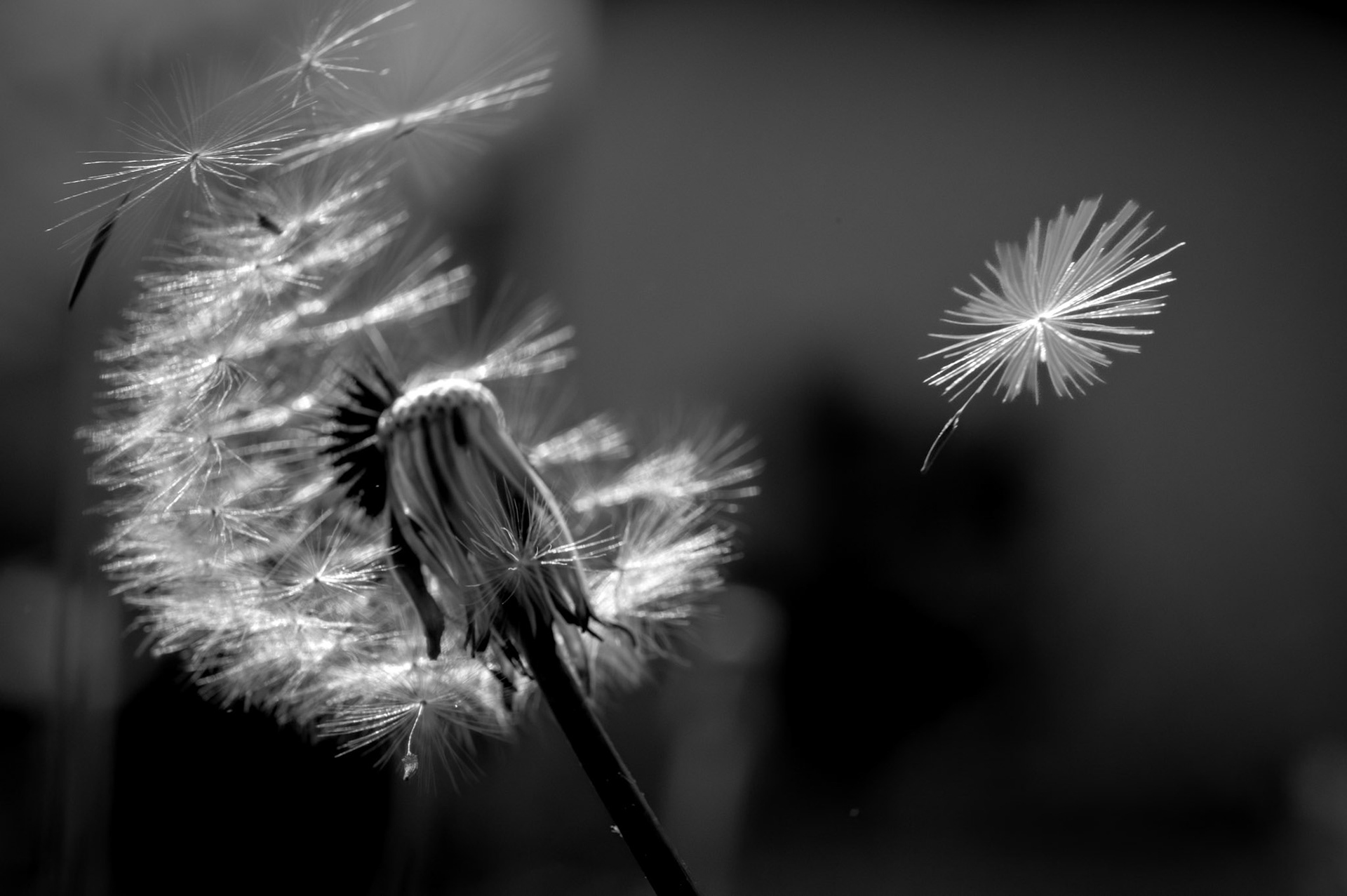 18/2026 - Fast Shutter