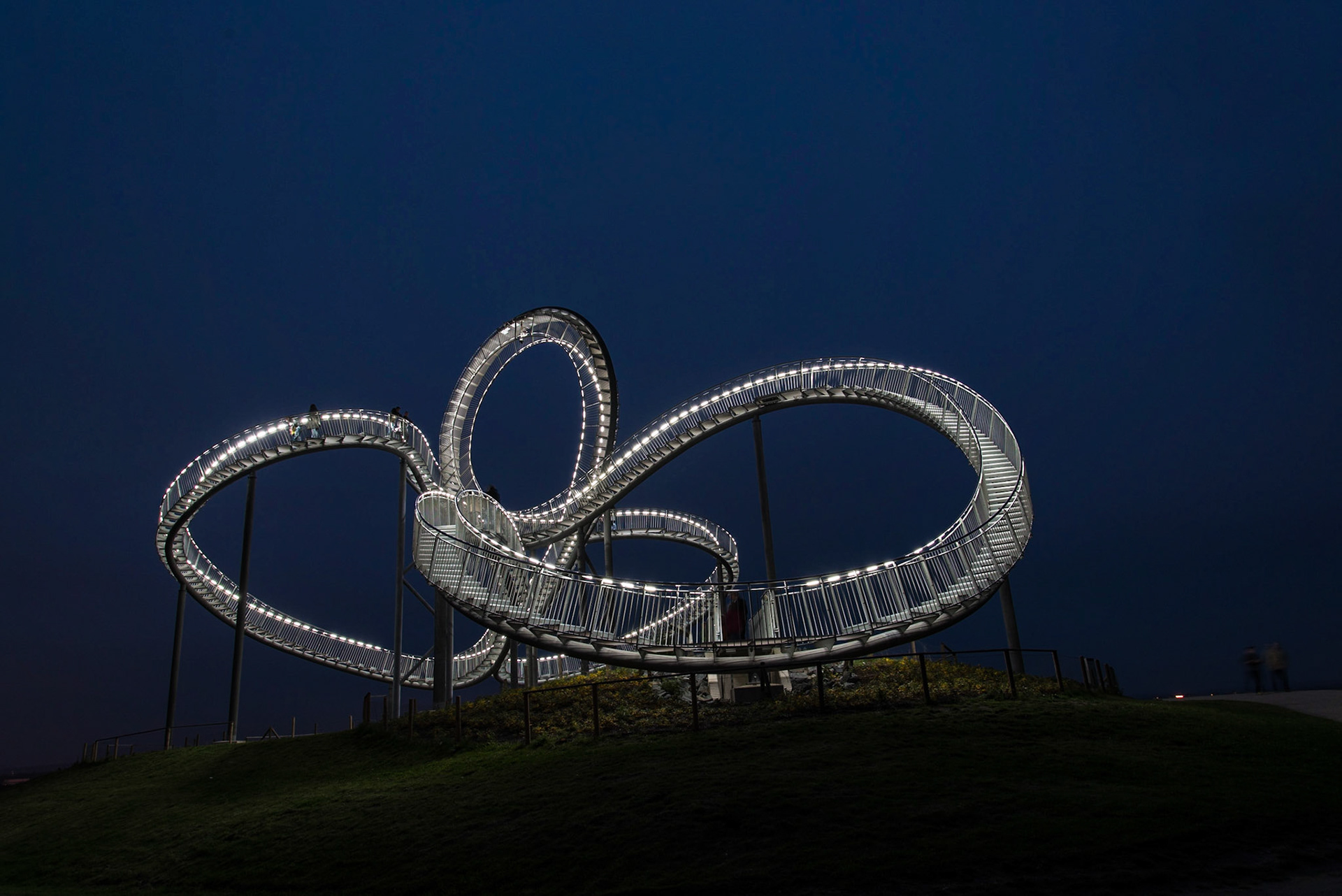 Tiger and Turtle