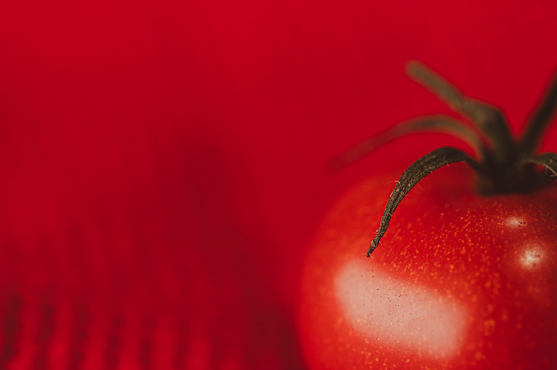 08/2024 - Complementary Colors