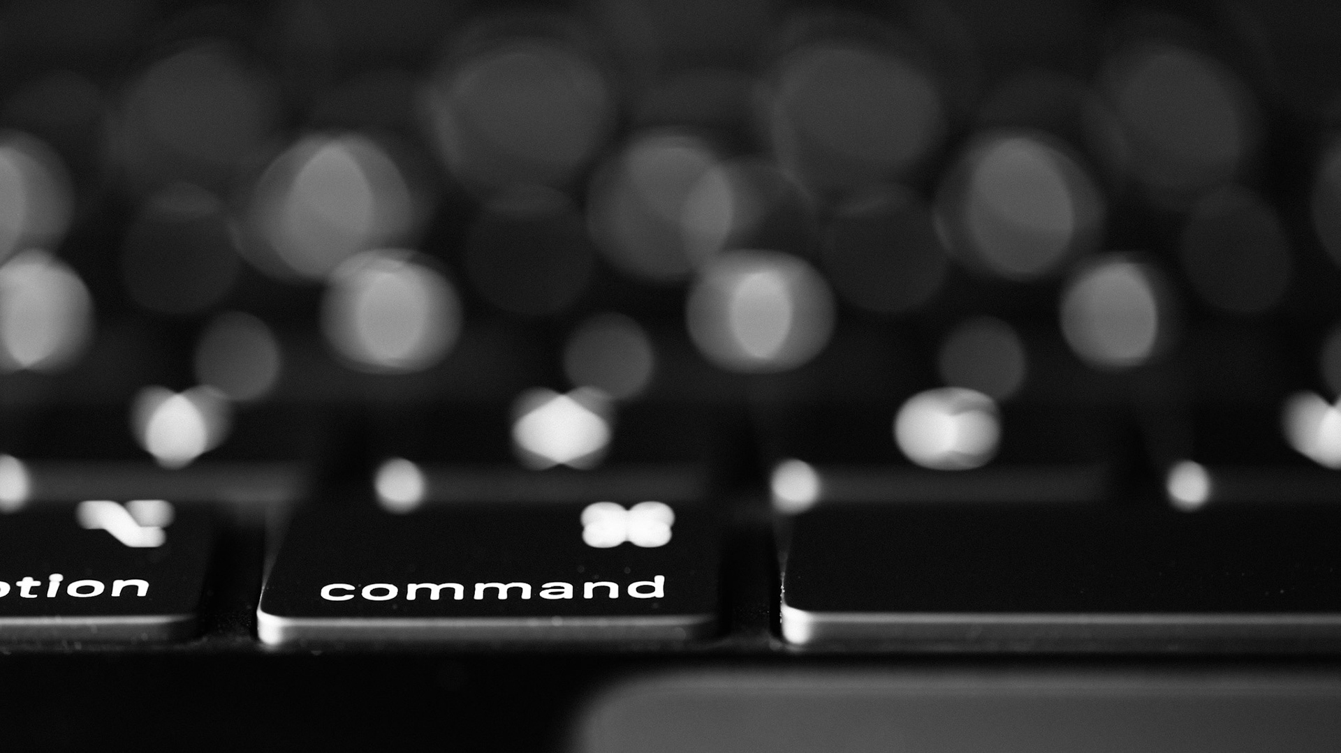 08/2026 - Shallow Depth Of Field