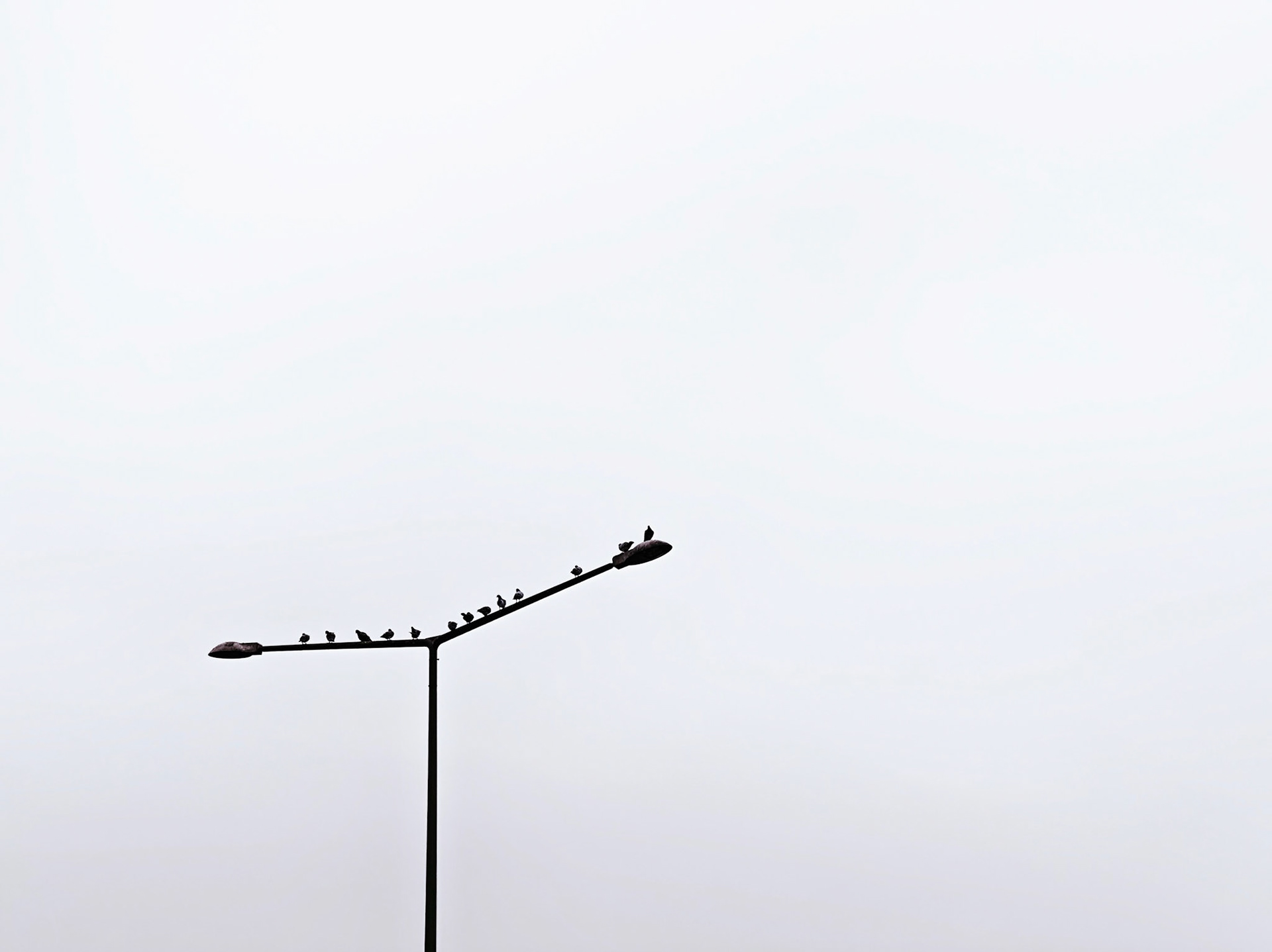 13/2024 - Minimalism