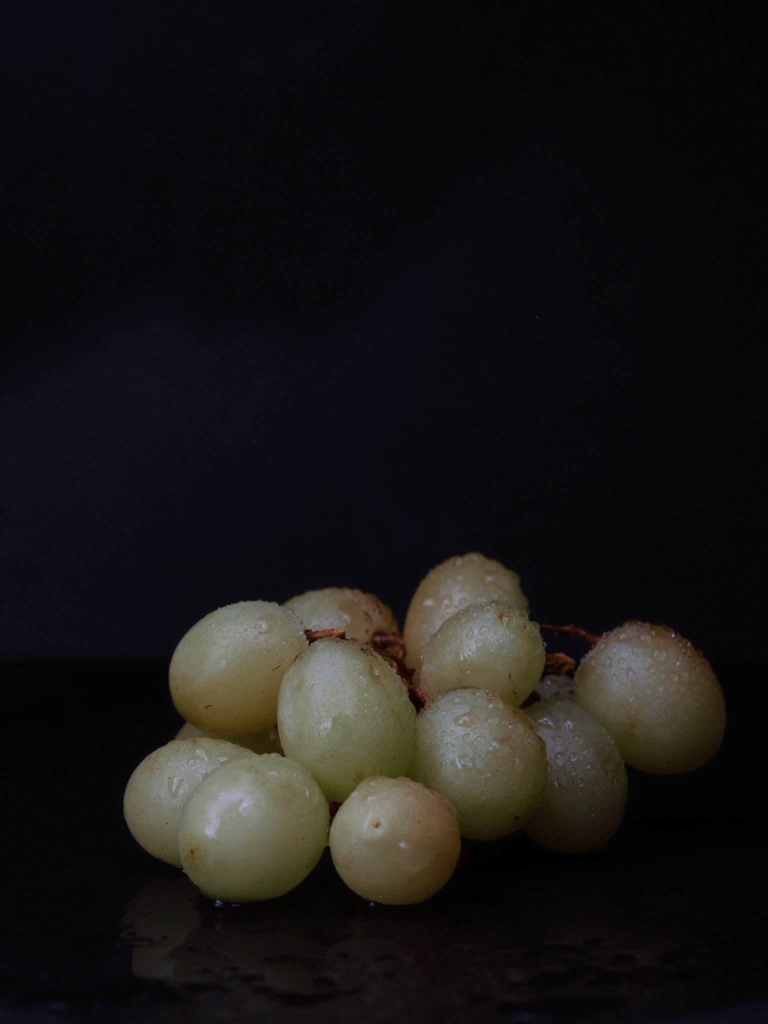 50/2023 - Choose A Color