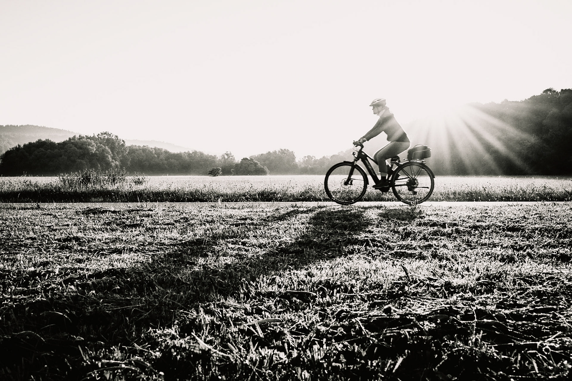 28/2022 - Silhouette