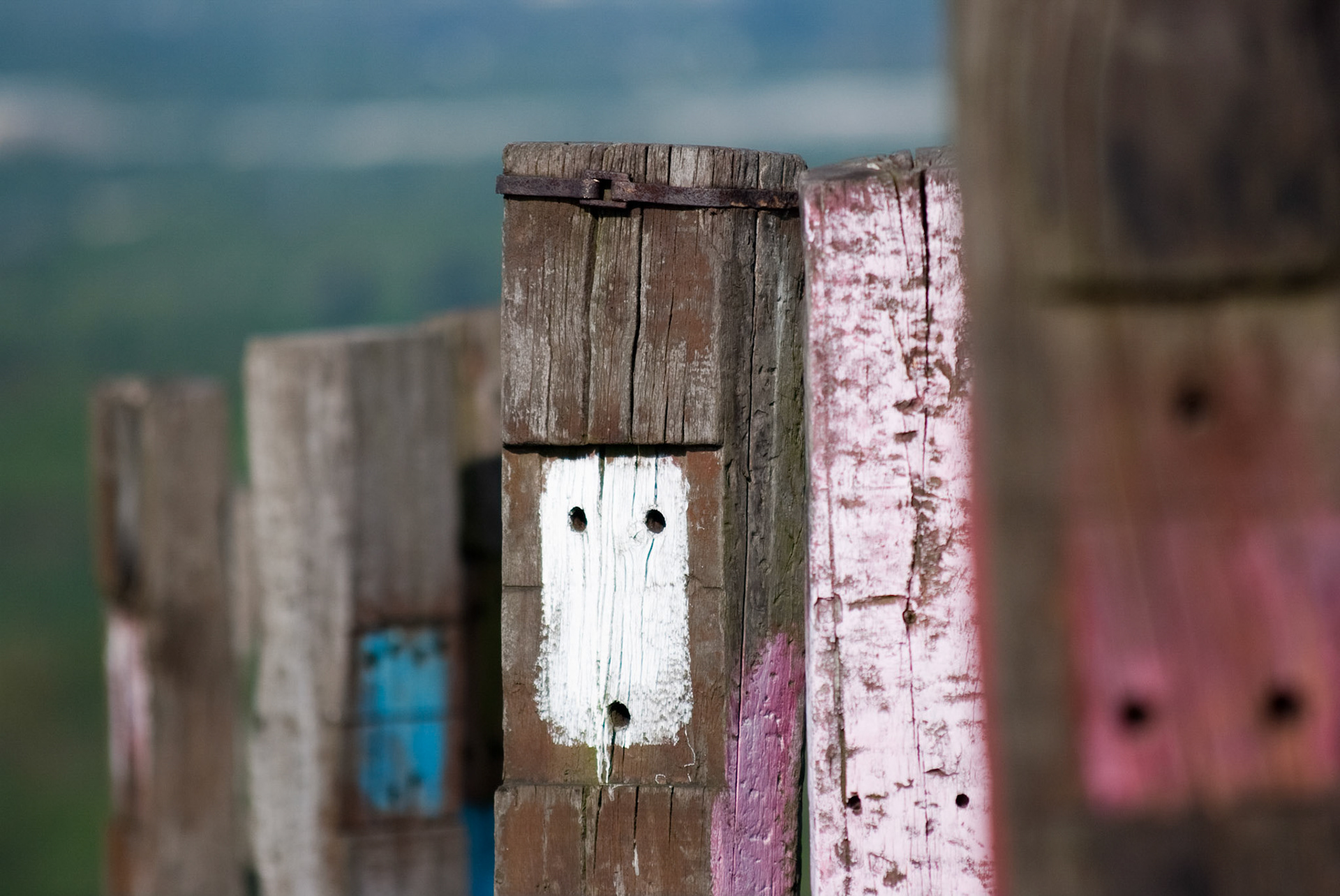 Totems