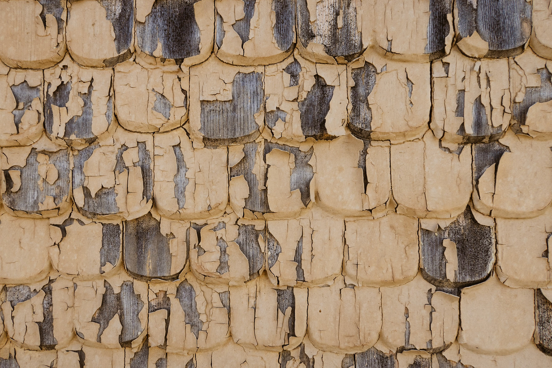 22/2022 - Everything In Focus