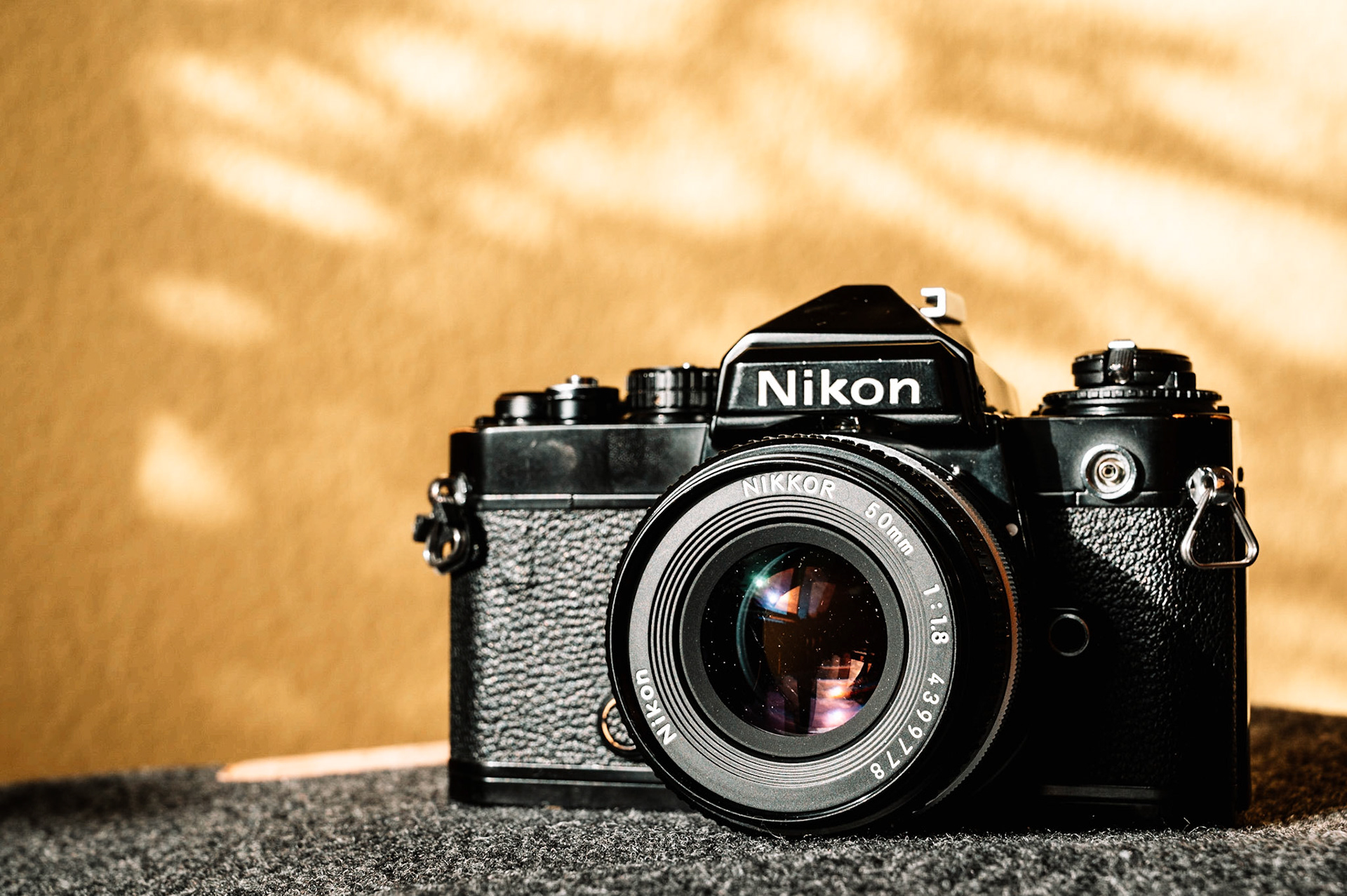 40/2023 - Dappled Light