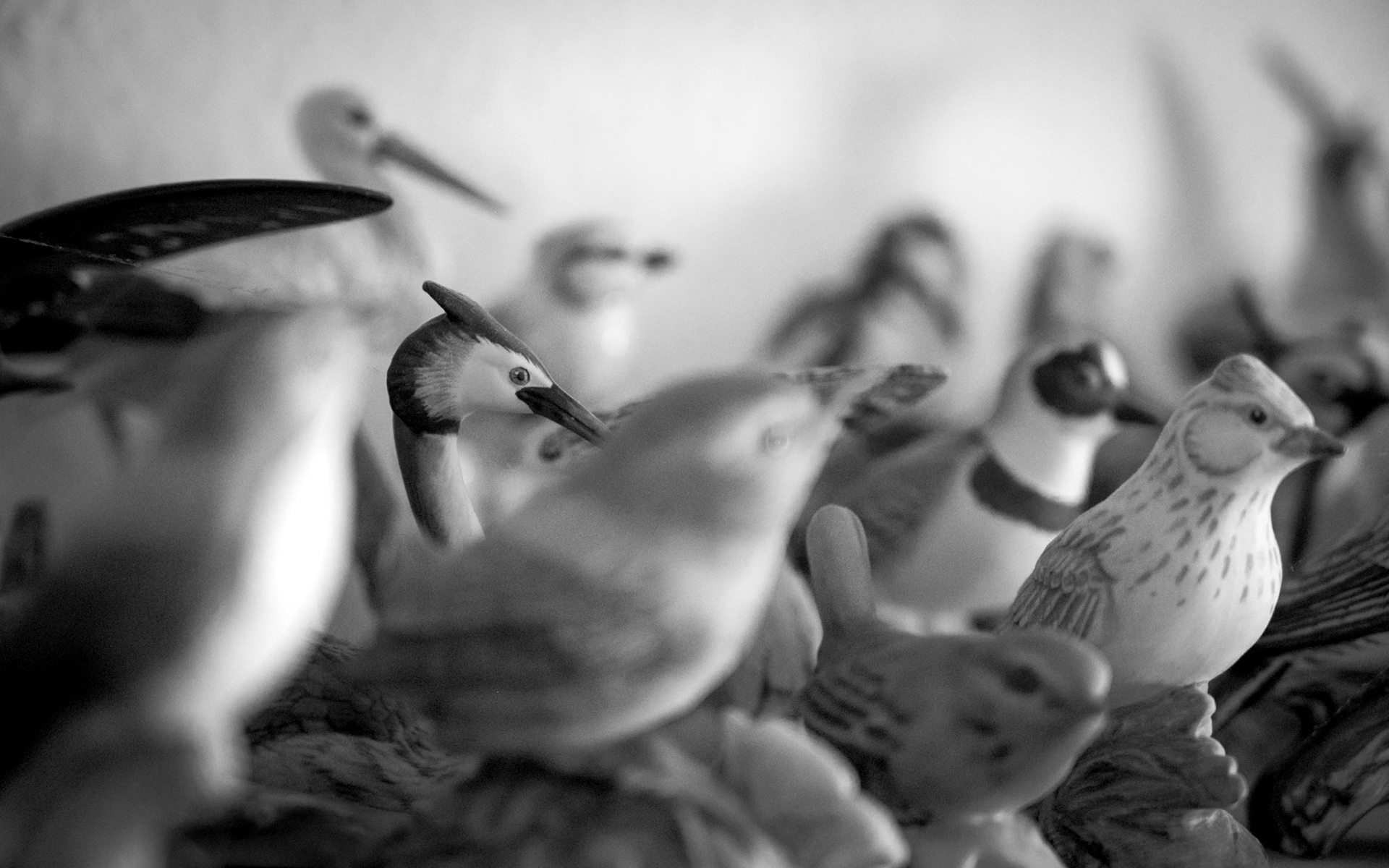 12/2025 - Shallow Depth Of Field