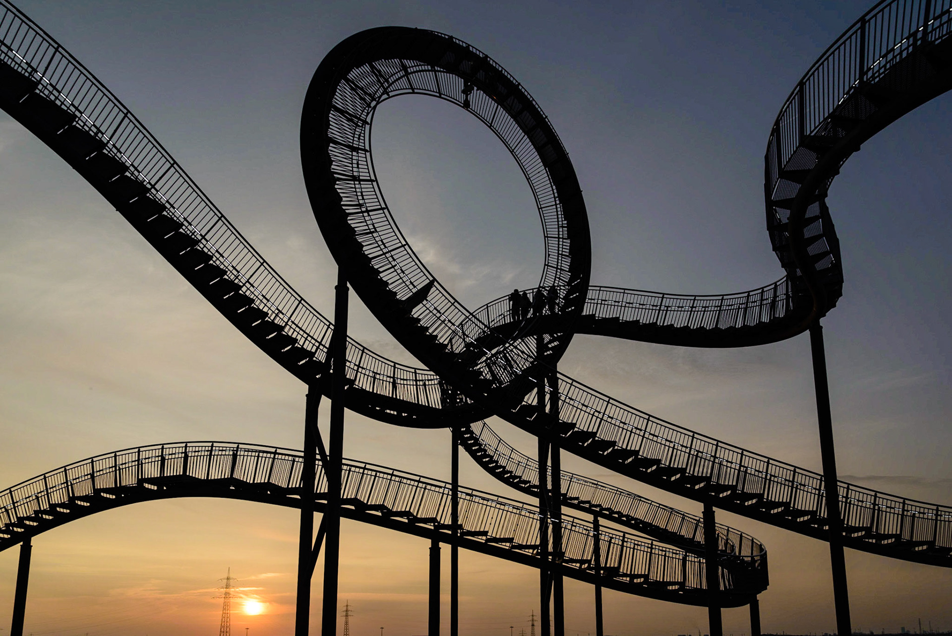 Tiger and Turtle