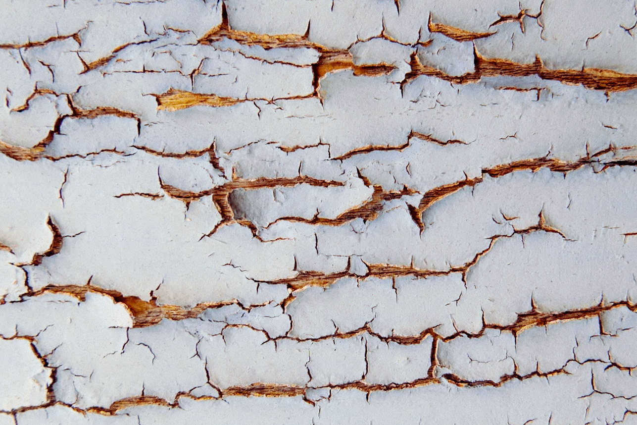 26/2026 - Wabi Sabi