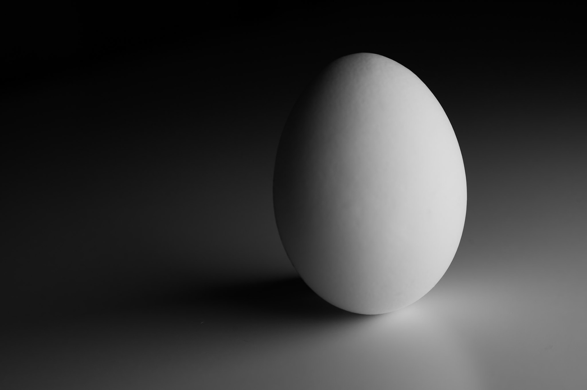 11/2025 - Egg