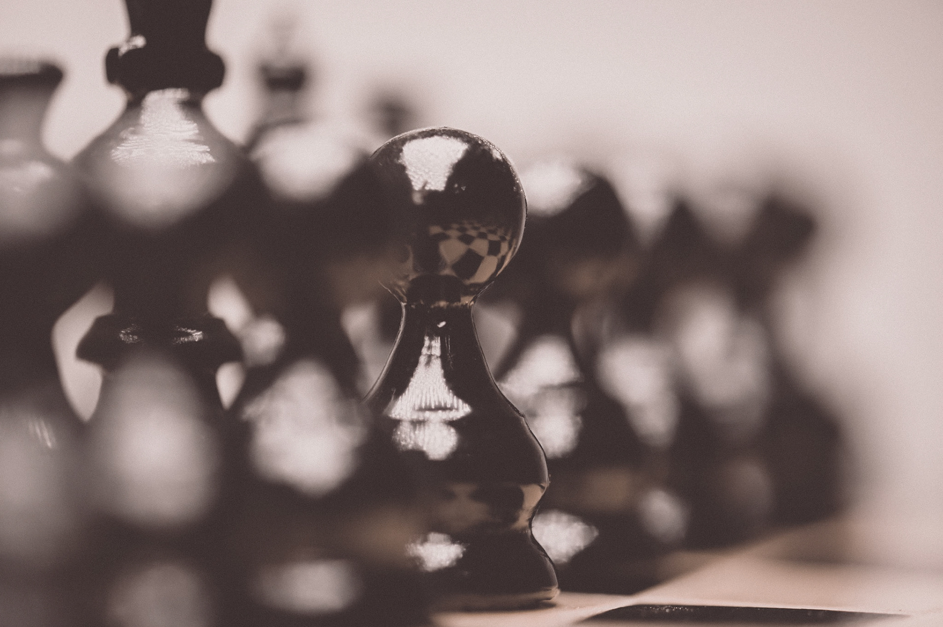 45/2023 - Bokeh