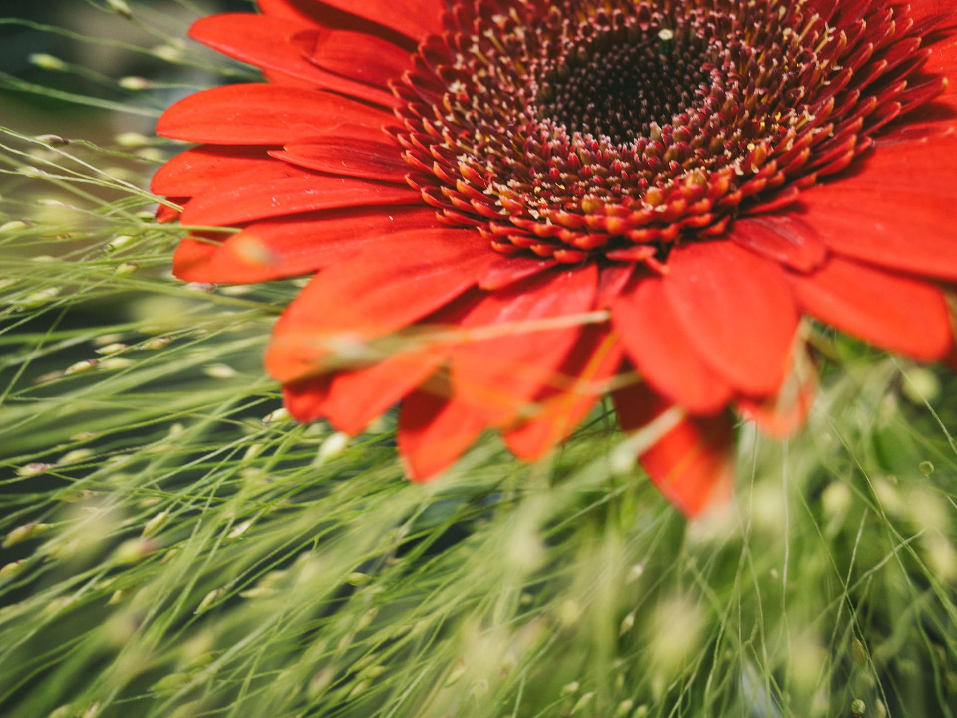 25/2023 - Leading Lines