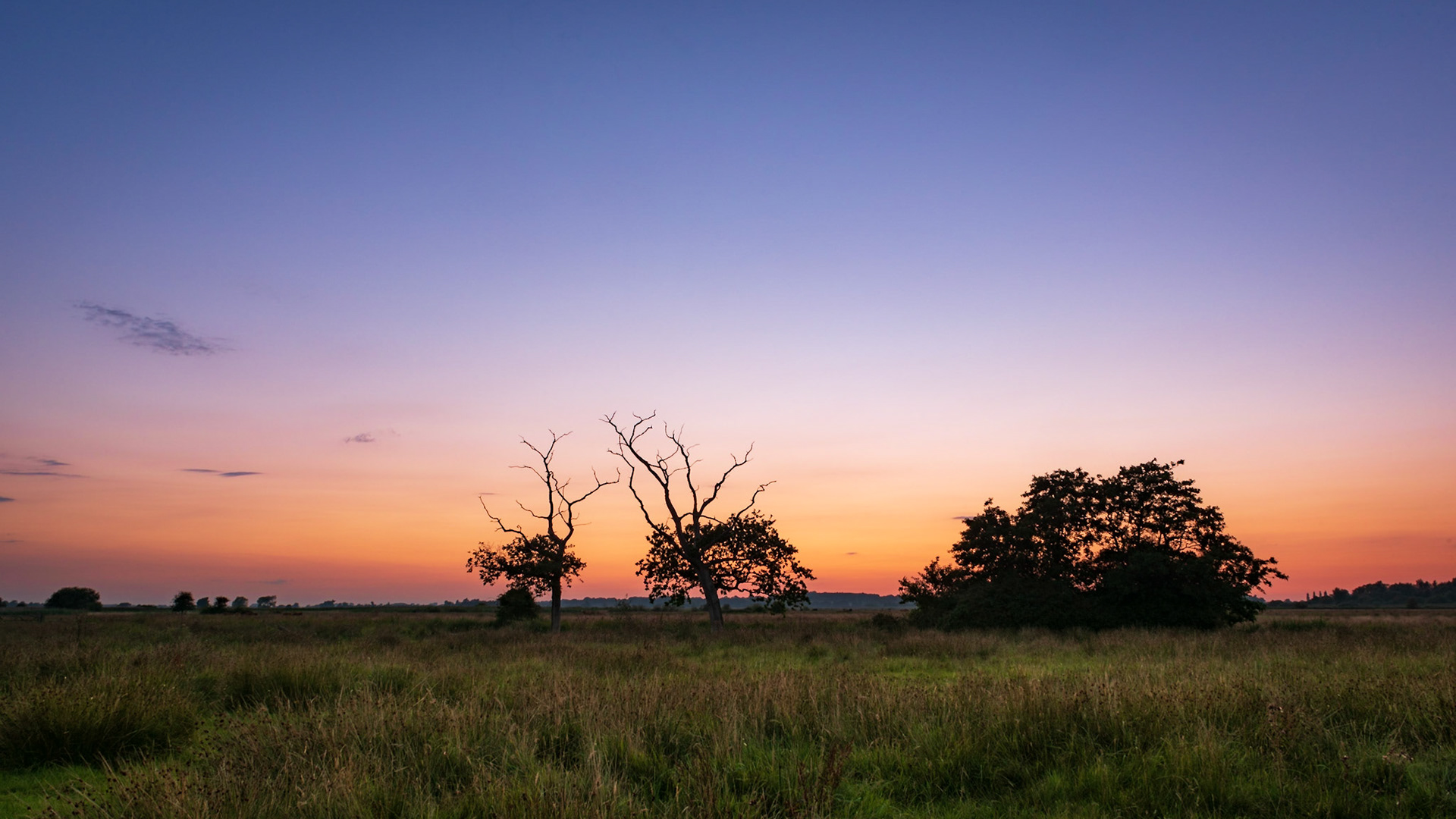 ©petereyles PEA7172 Carlton Marshes