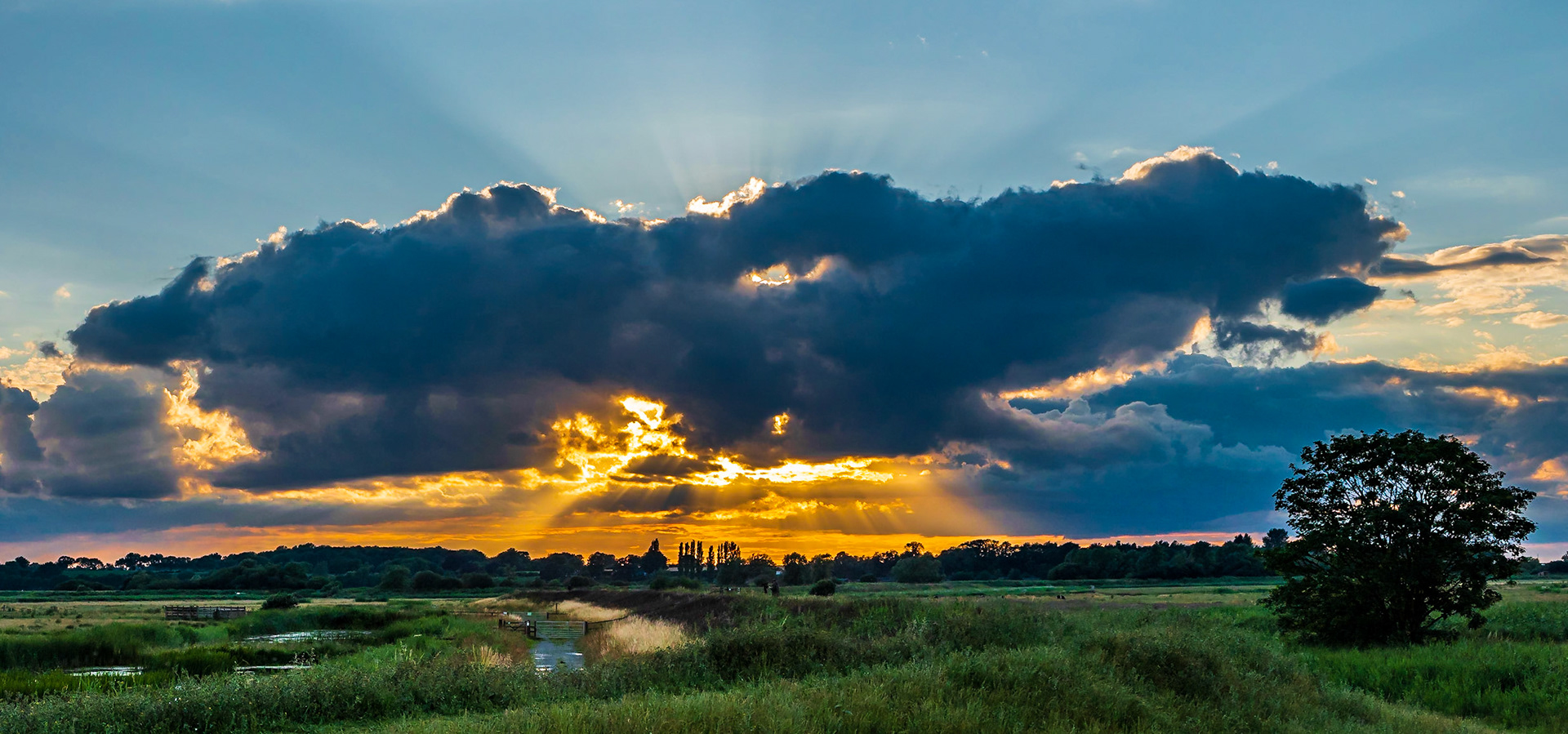 ©petereyles PEF0501 Carlton Marshes