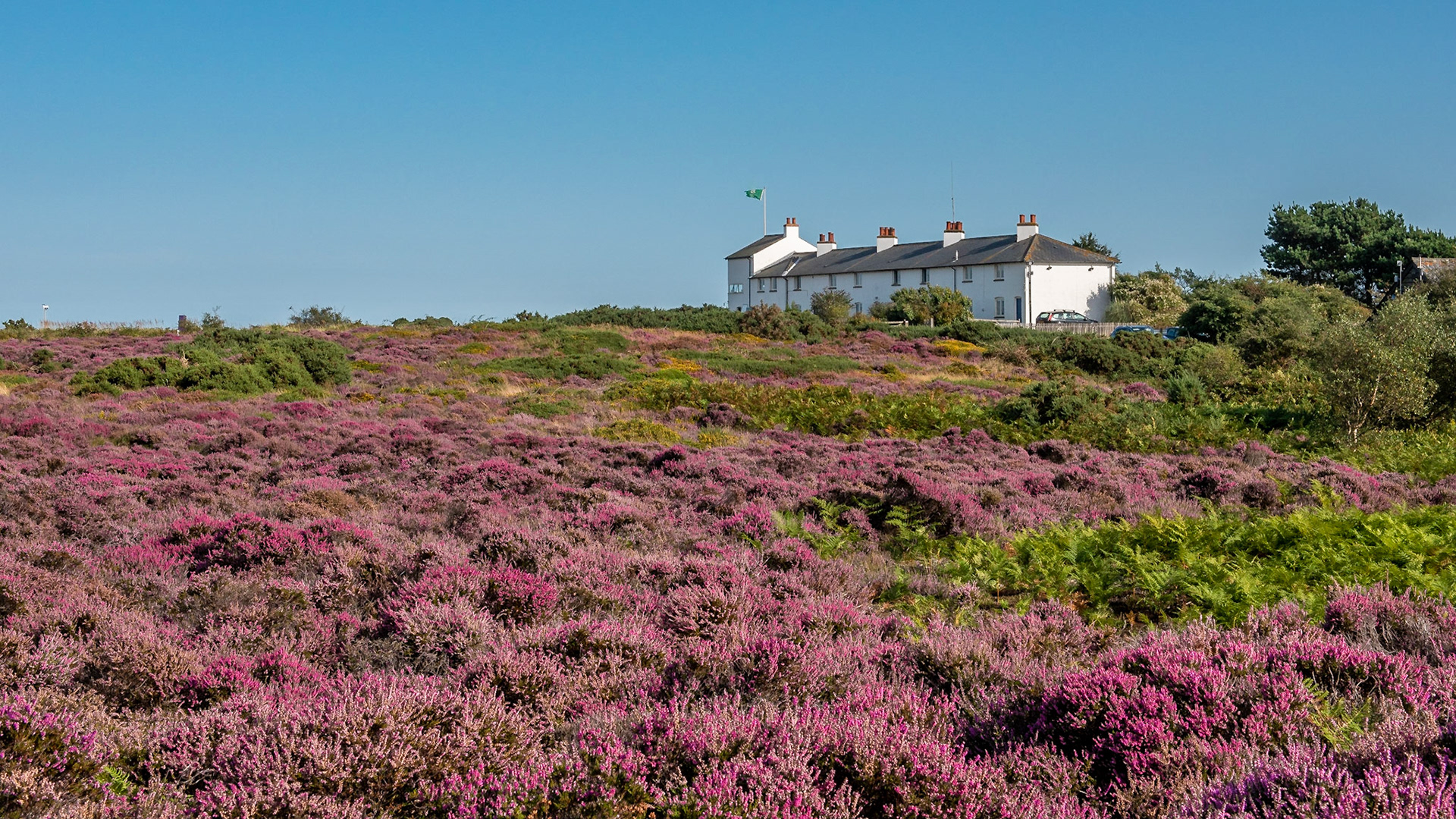 ©petereyles PEE5501 Dunwich Heath Coastguards Cottages
