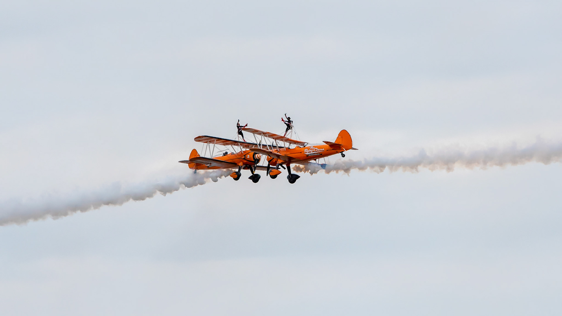 ©petereyles PEB6879