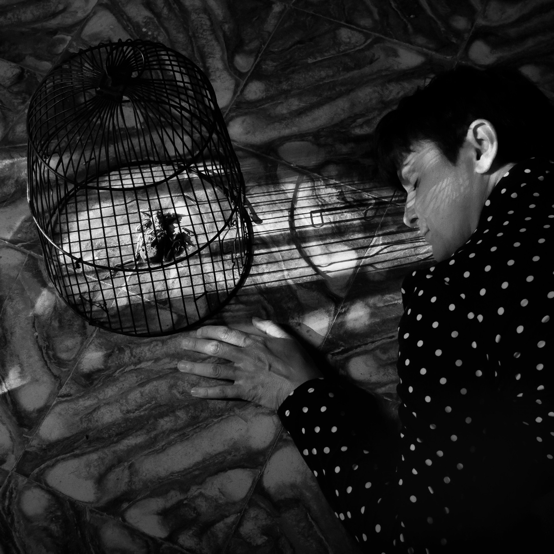 "volemos juntos al más allá" · 2020 · papel Fine Art · 30 x 30 cm