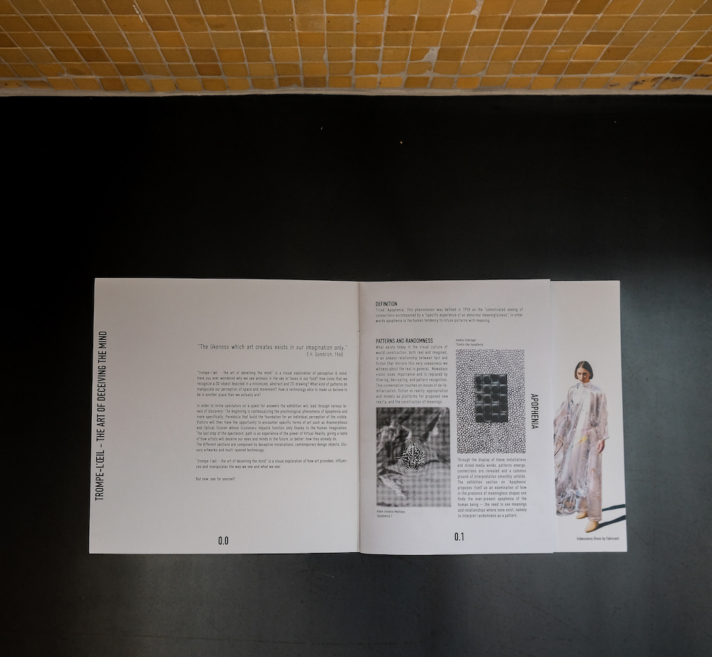 introduction & first section on "apophenia"