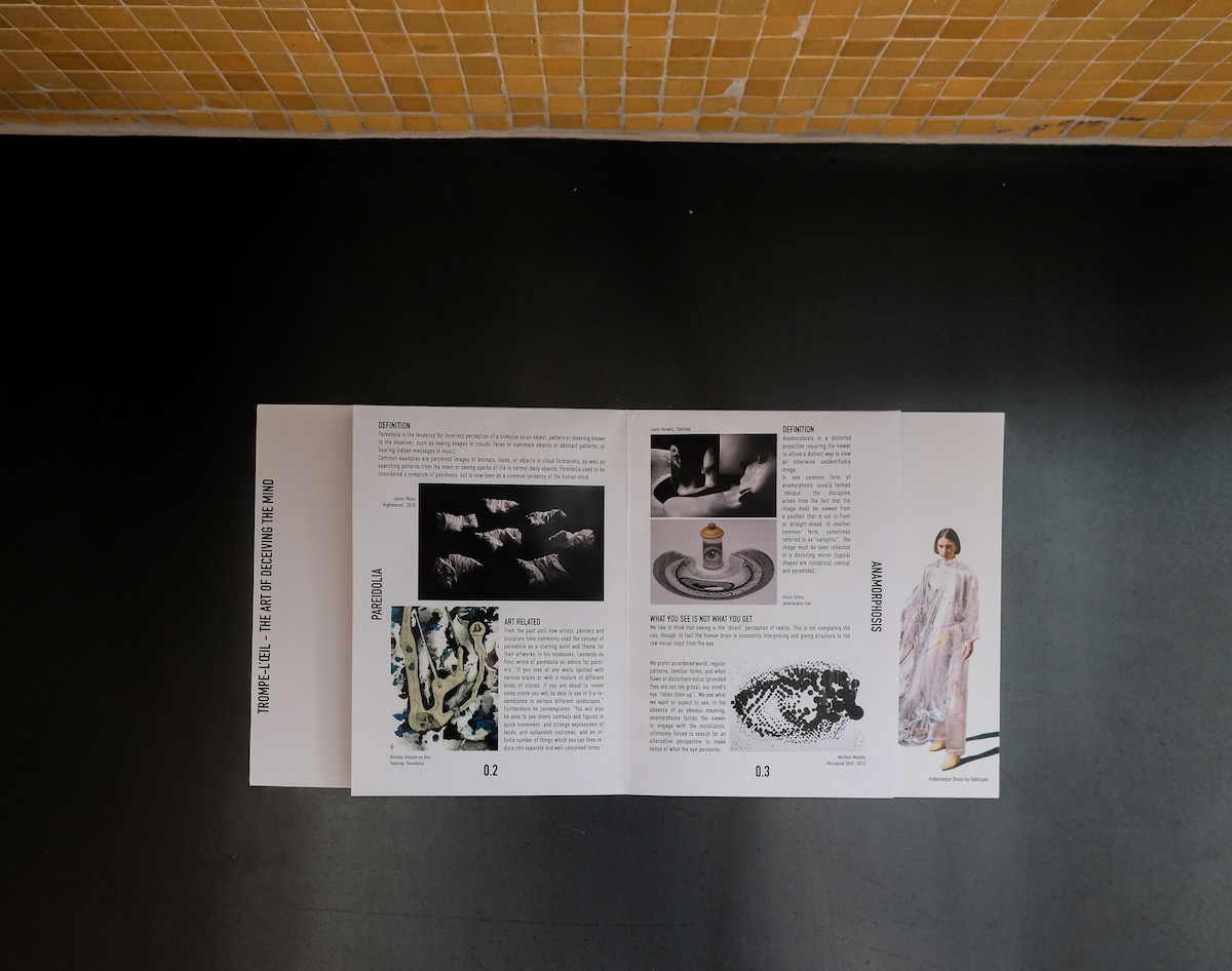 sections on "pareidolia" & "anamorphosis"