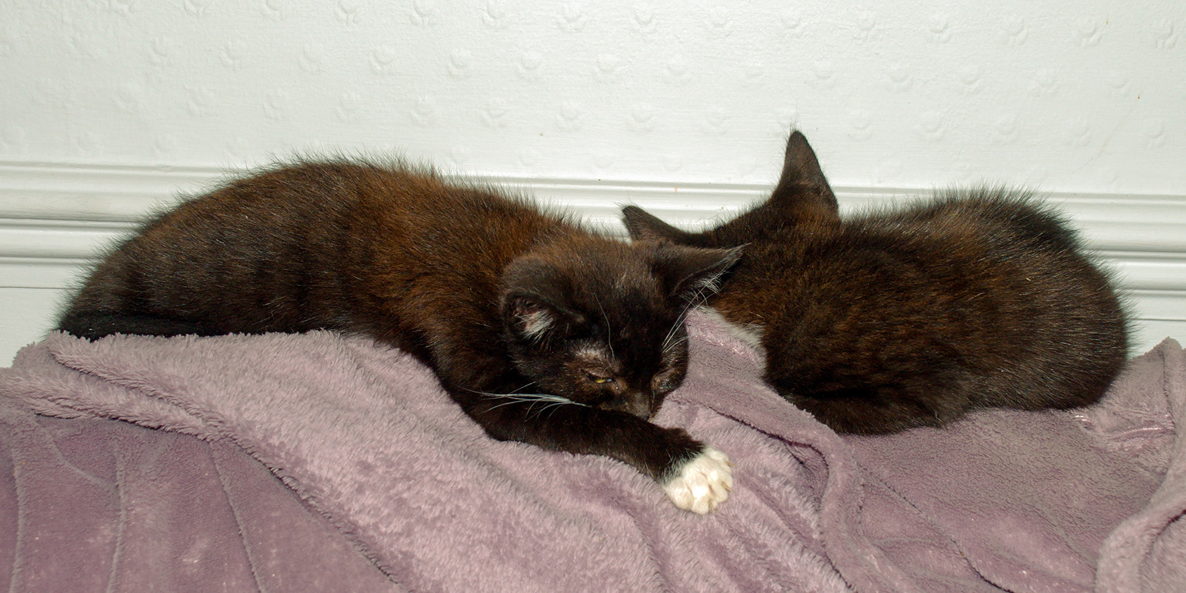 17-10-23 - Dave and Rodney.