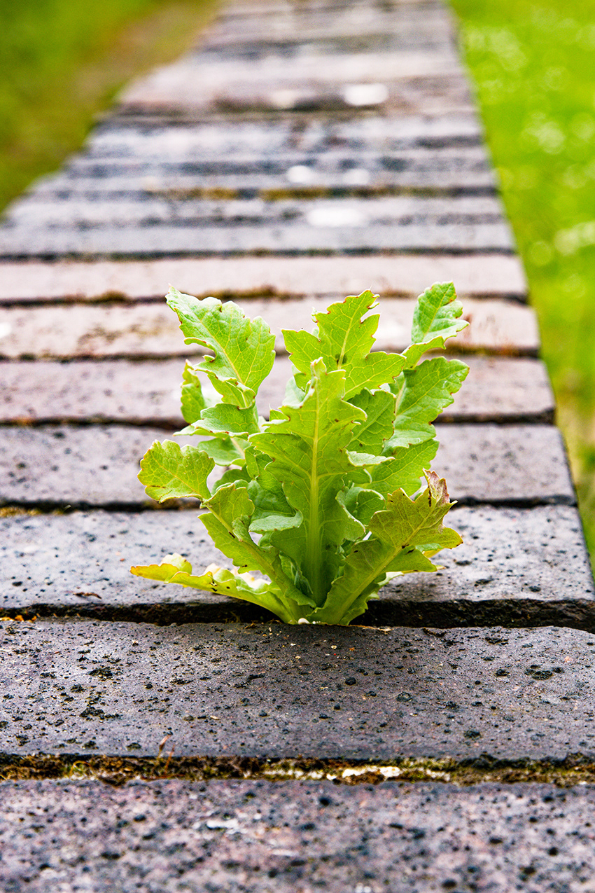 08-05-23 - The Brick Plant.