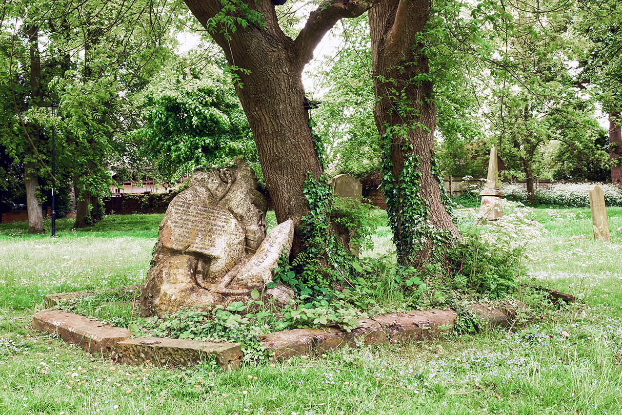 22-05-23 Cleft for Me.