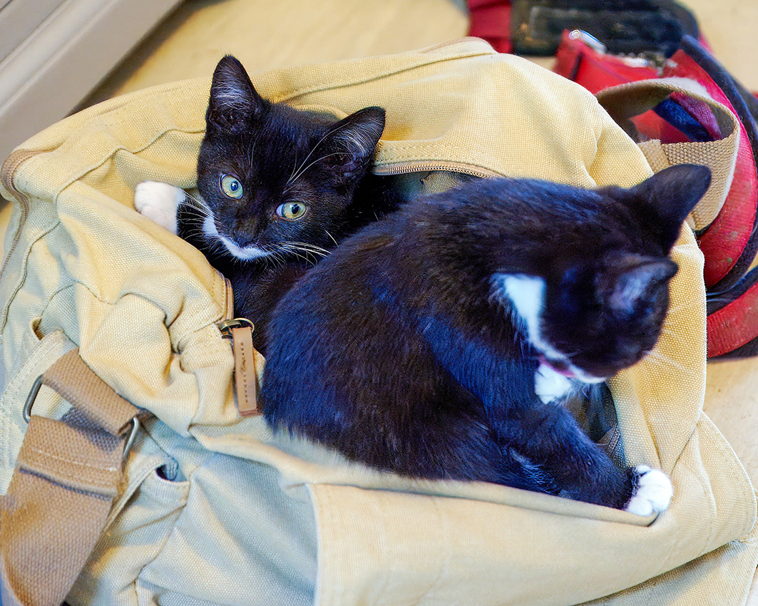 05-11-23 - The Camera Bag.