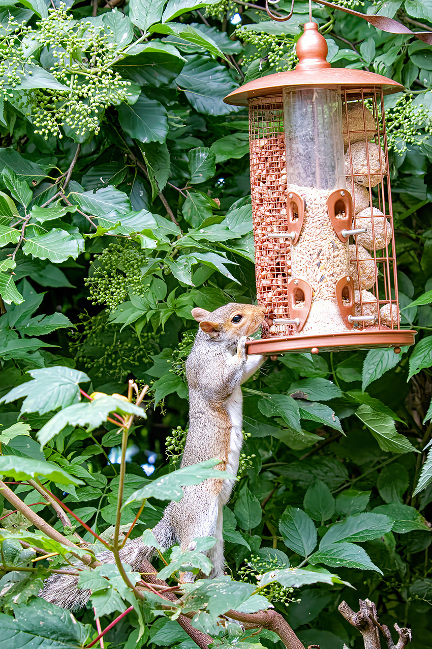 27-07-23 - Standing room only.