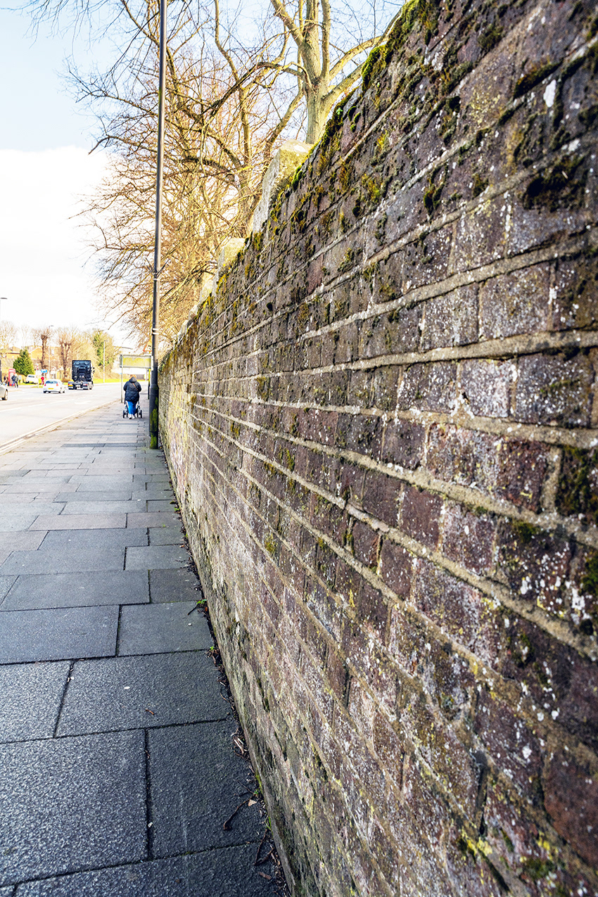 03-03-23 - Wall.