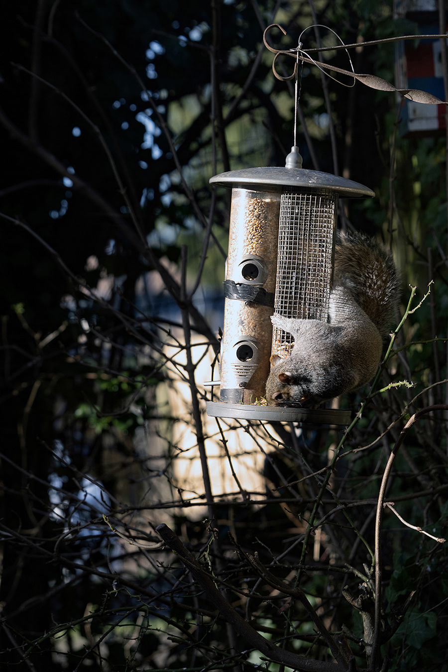 30-01-23 - Into the light.