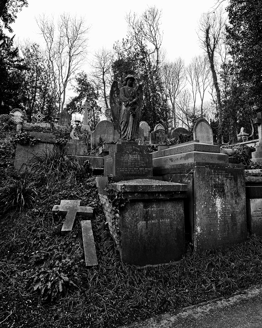 The Weeping Angel.