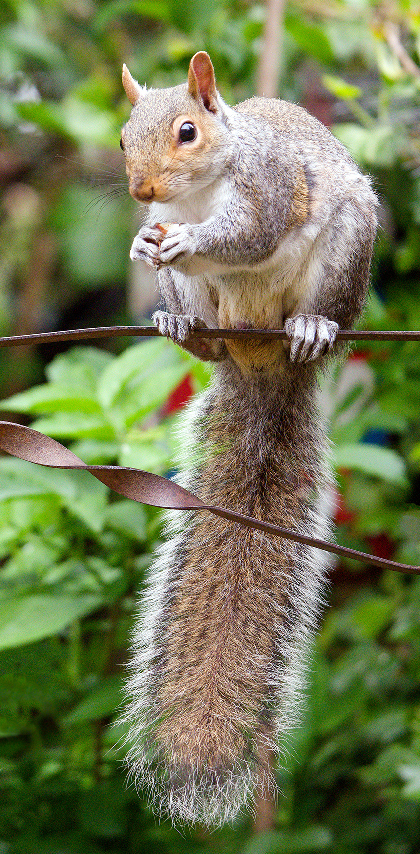 02-05-23 - Balanced.