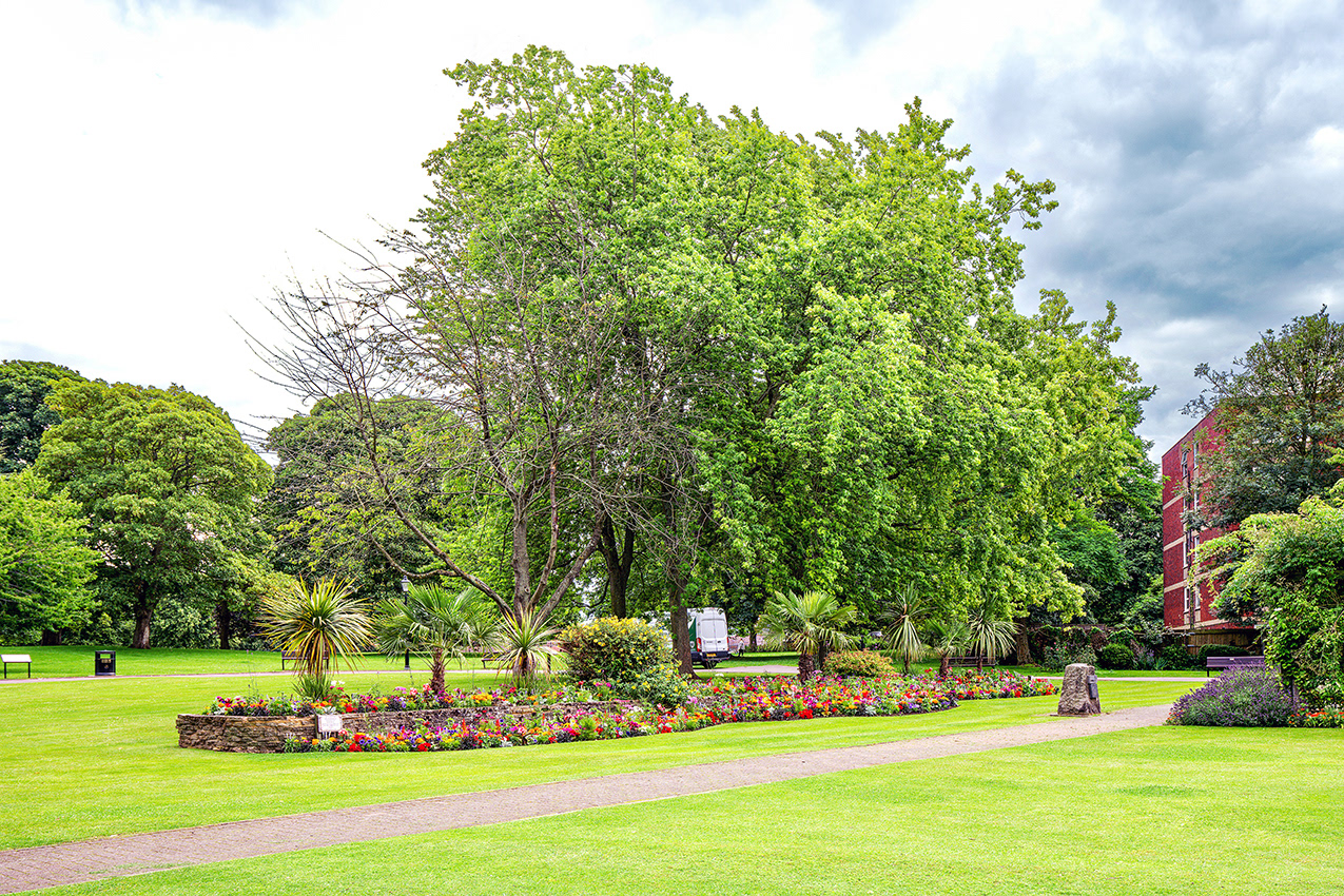 27-07-23 - Priory Gardens.