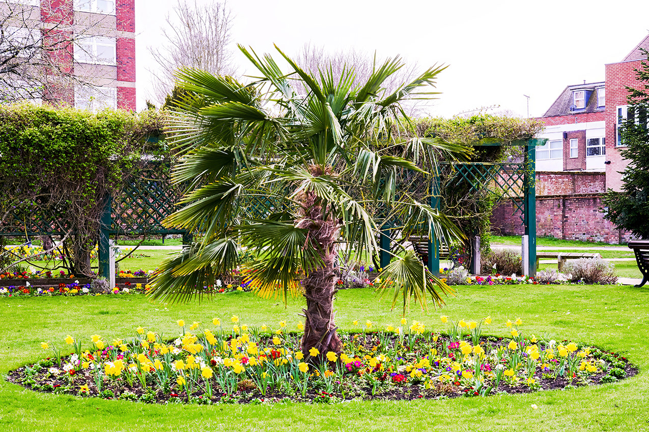 30-03-23 - Spring.