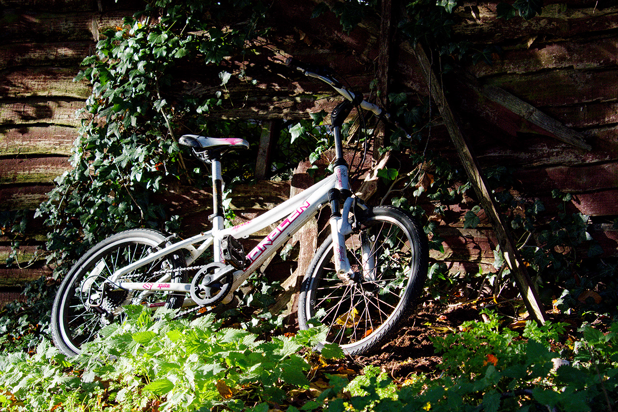 06-11-23 - Last light.