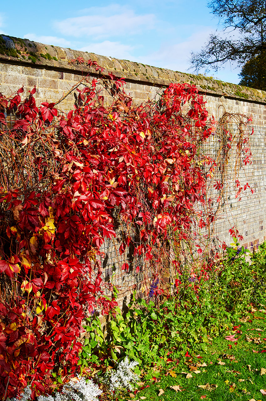 03-11-23 - Autumnal.