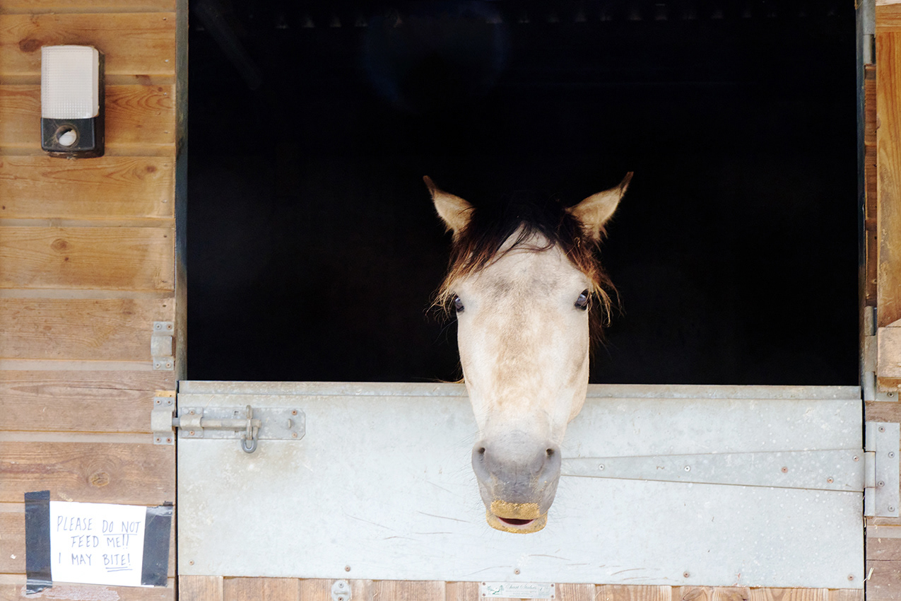 19-06-23 - I may bite.