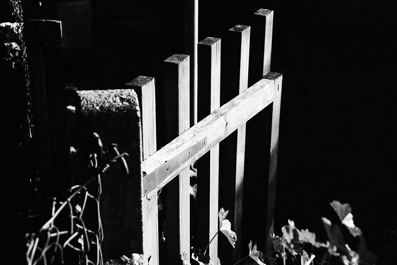 20-11-23 - The Gate.