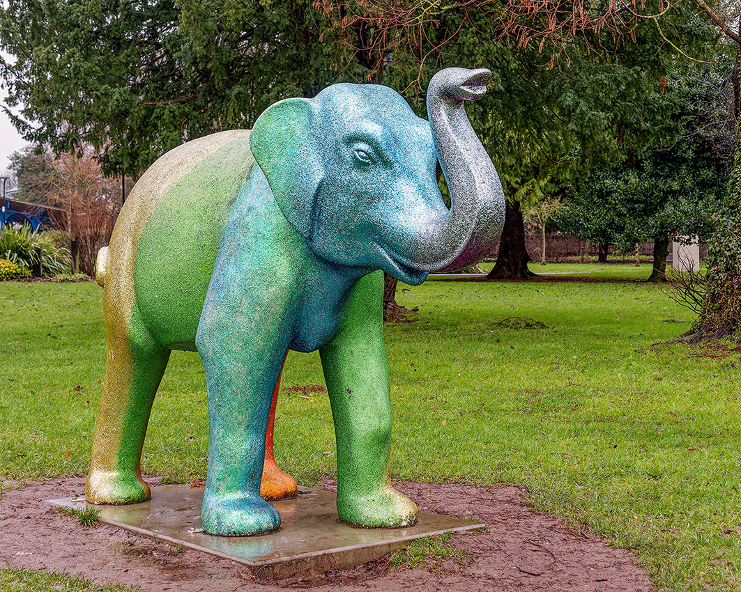 03-01-23 - Elephant.