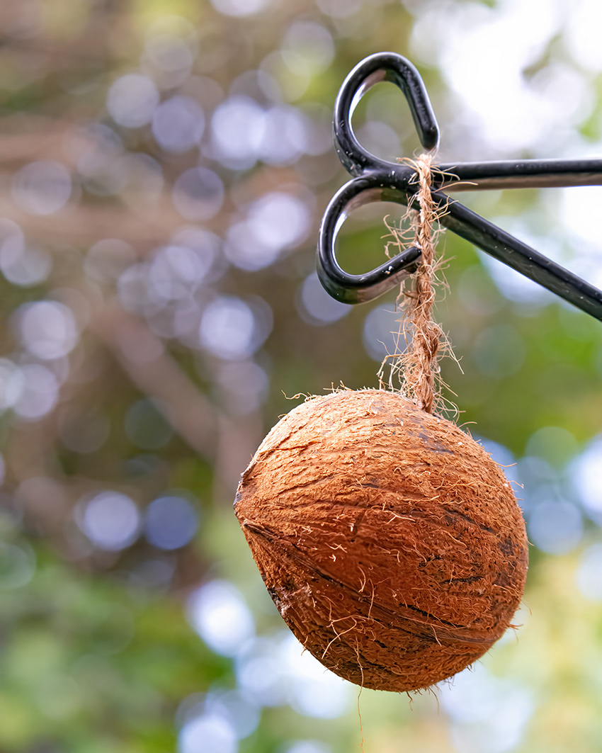 21-10-23 - In a nutshell.