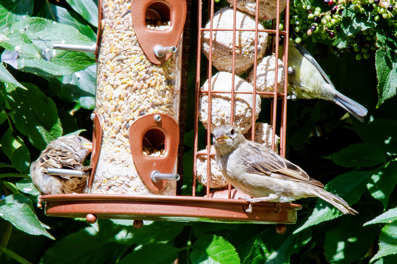 16-08-23 - The look.